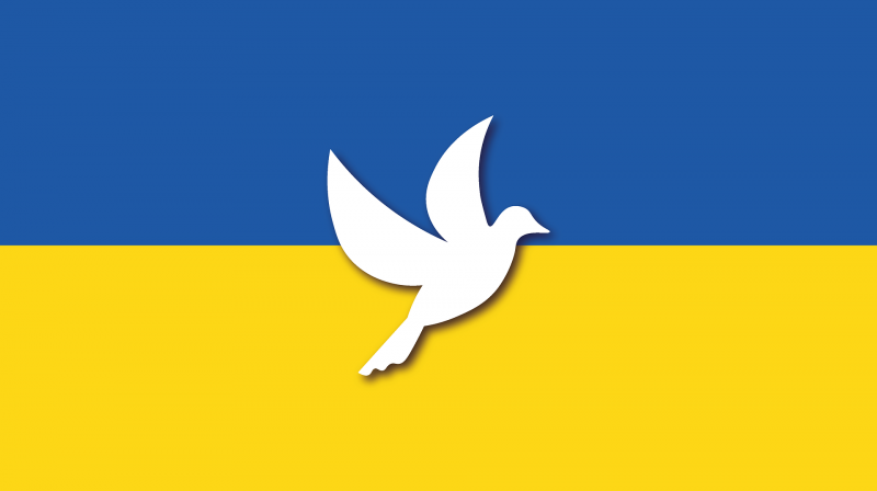 ukraine_g398e94261_1920.png